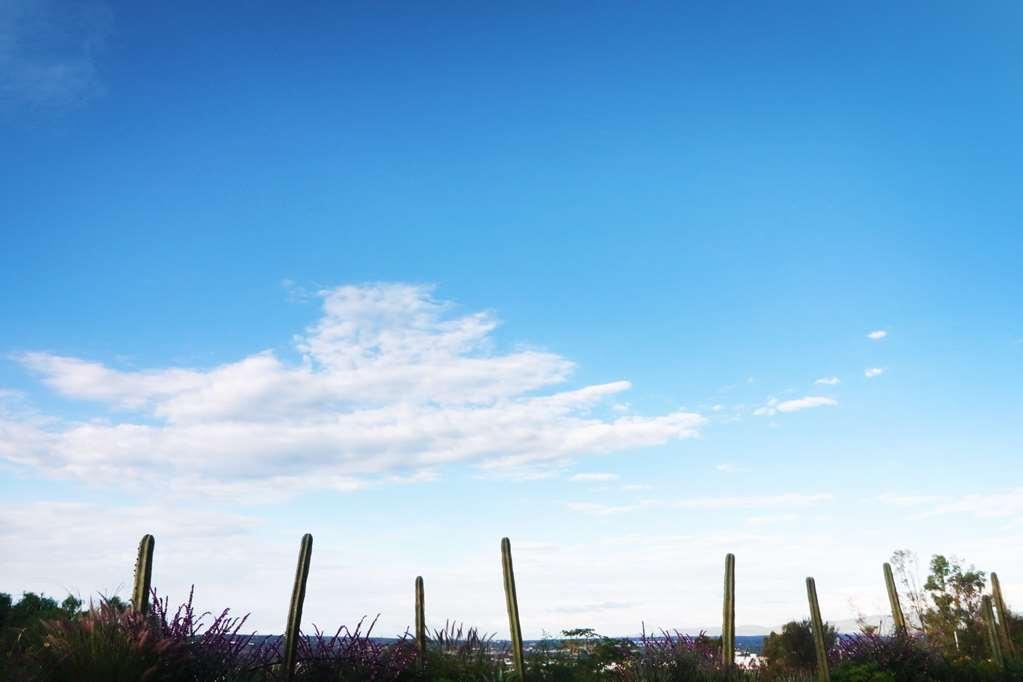 Albor San Miguel De Allende Tapestry Collection By Hilton Luaran gambar