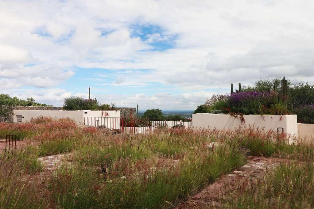 Albor San Miguel De Allende Tapestry Collection By Hilton Luaran gambar